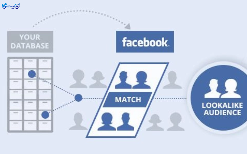 Các loại đối tượng chạy quảng cáo trên Facebook