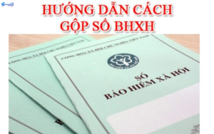 Quy trình gộp sổ bảo hiểm xã hội các tỉnh